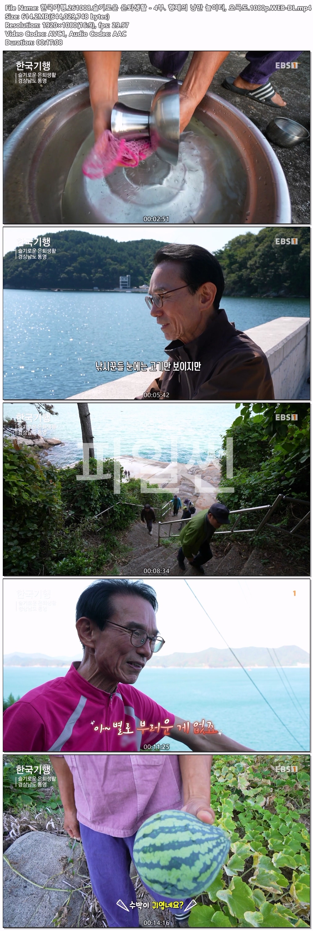 한국기행.261008.슬기로운 은퇴생활 - 4부. 형제의 낭만 놀이터, 오곡도.1080p.WEB-DL