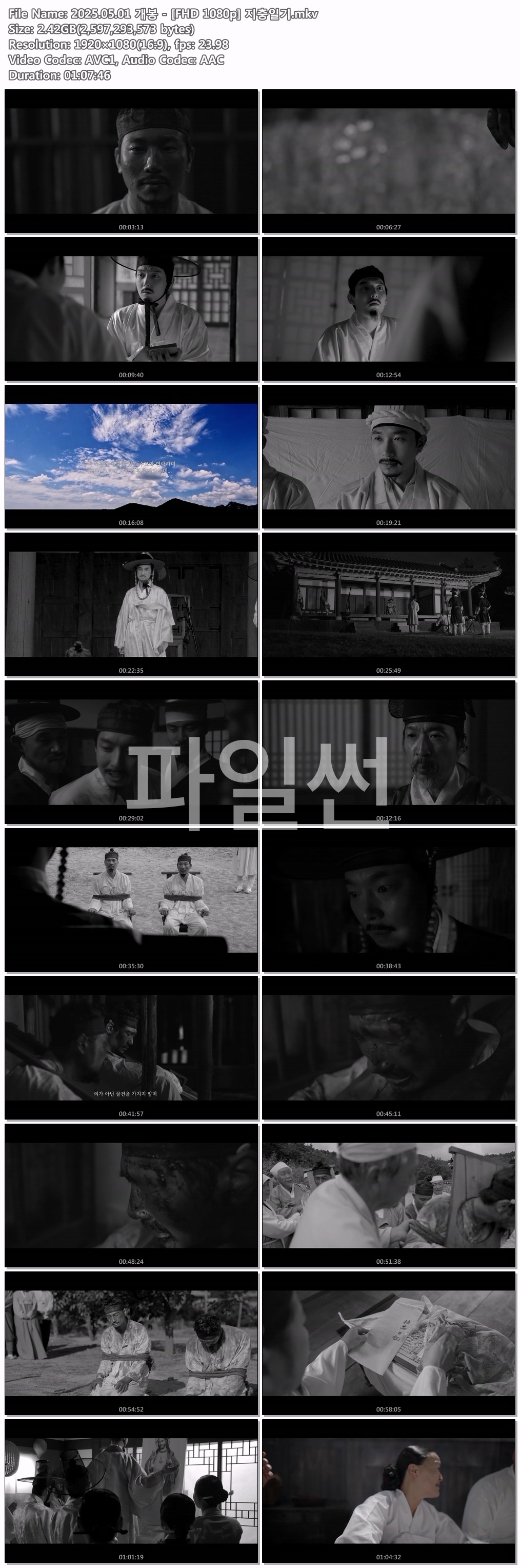 2025.05.01 개봉 - [FHD 1080p] 지충일기
