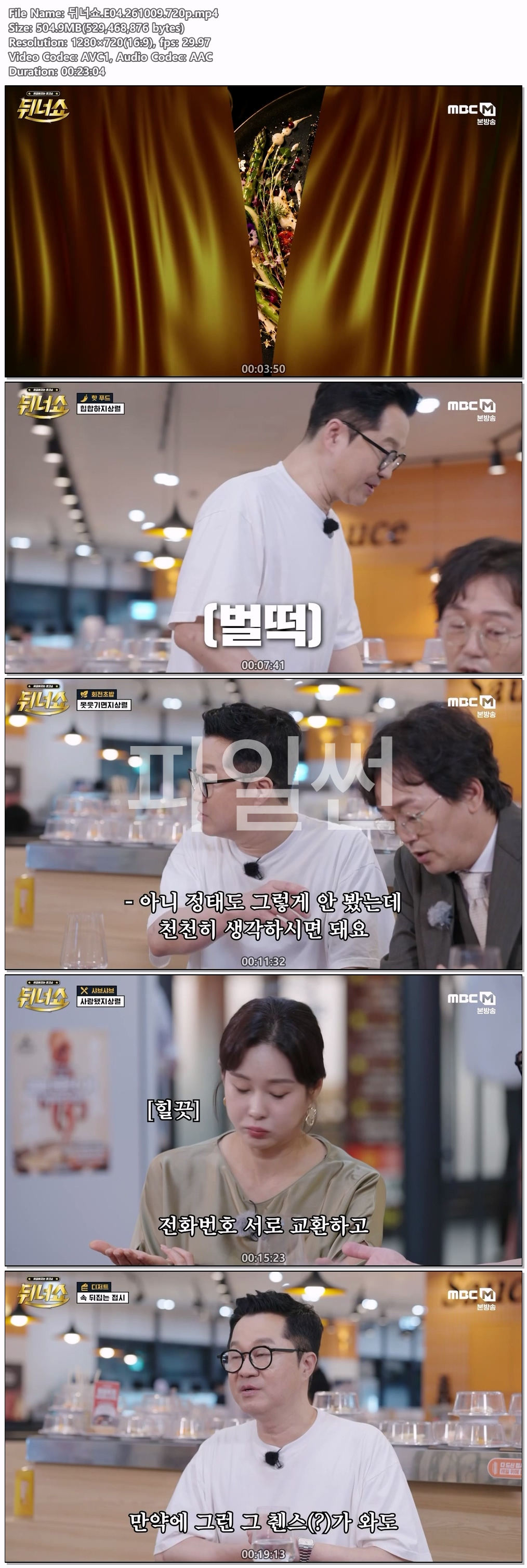 뒤너쇼.E04.261009.720p