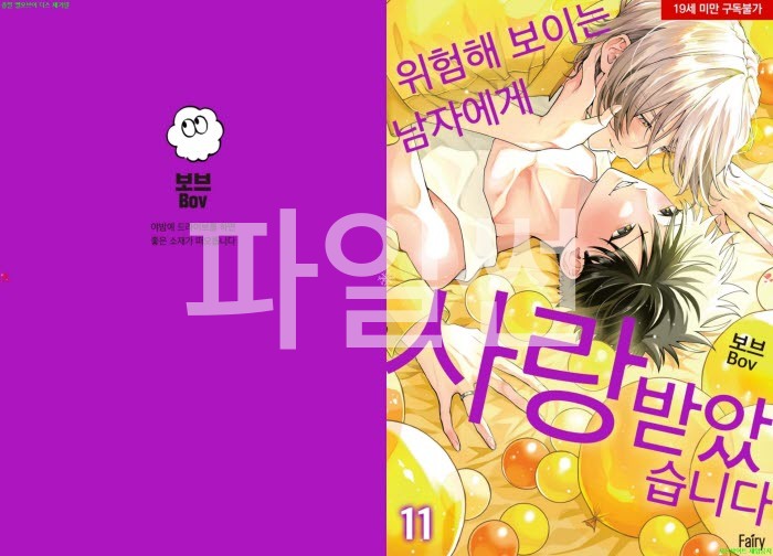 [BL만화] 보브 - 위험해 보이는 남자에게 찍혔습니다 11권[냥면]