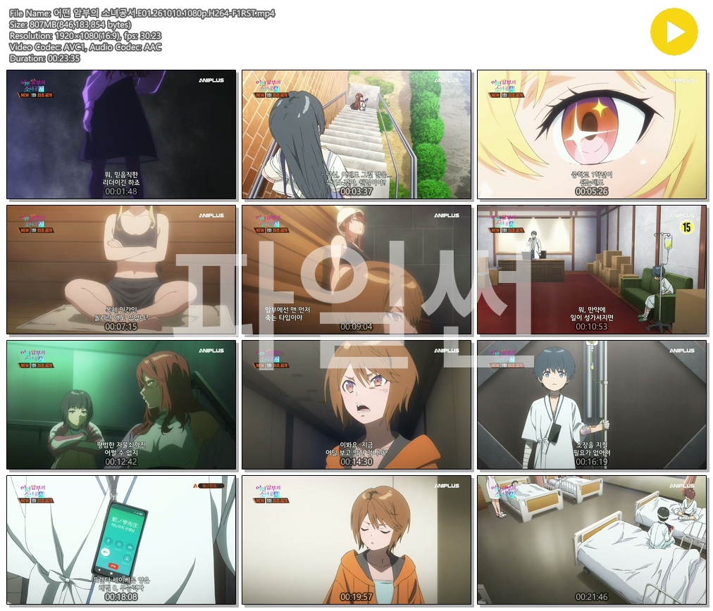 [ANIPLUS] 어떤 암부의 소녀공서 - 01 (1920x1080)