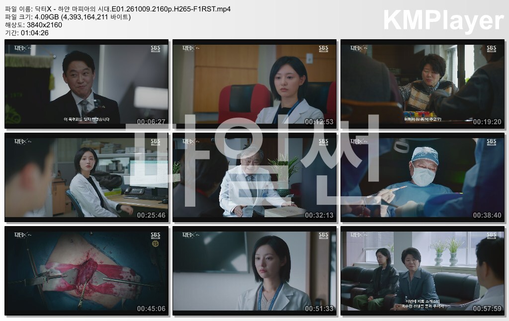 닥터X - 하얀 마피아의 시대.E01.261009.2160p.H265-F1RST
