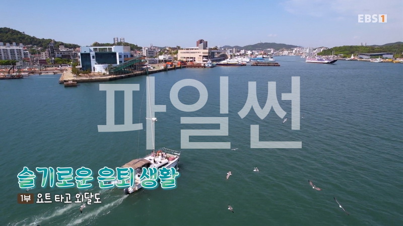 한국여행 20261005 슬기로운 은퇴생활