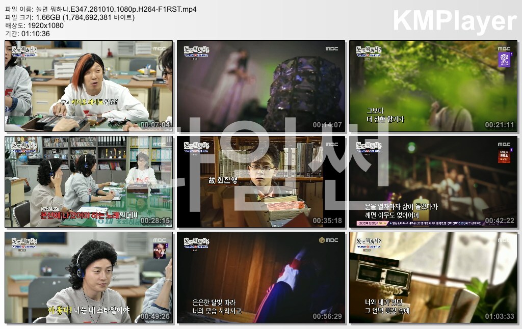 놀면 뭐하니.E347.261010.1080p.H264-F1RST