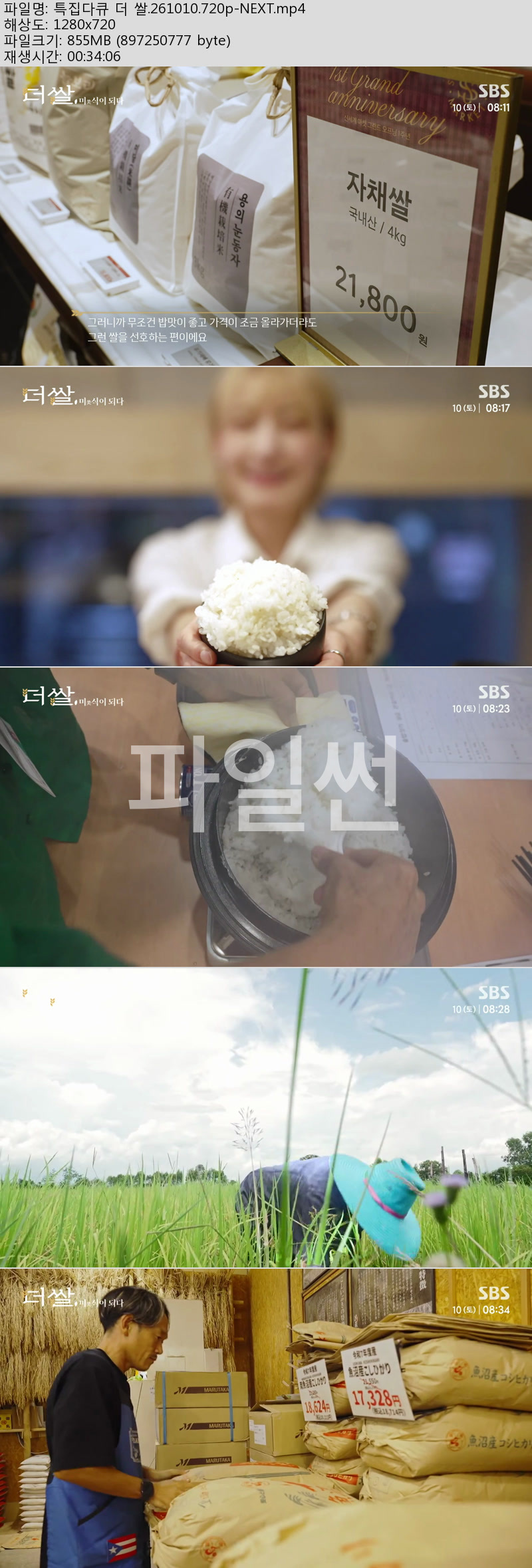 특집다큐 더 쌀.261010.720p-NEXT
