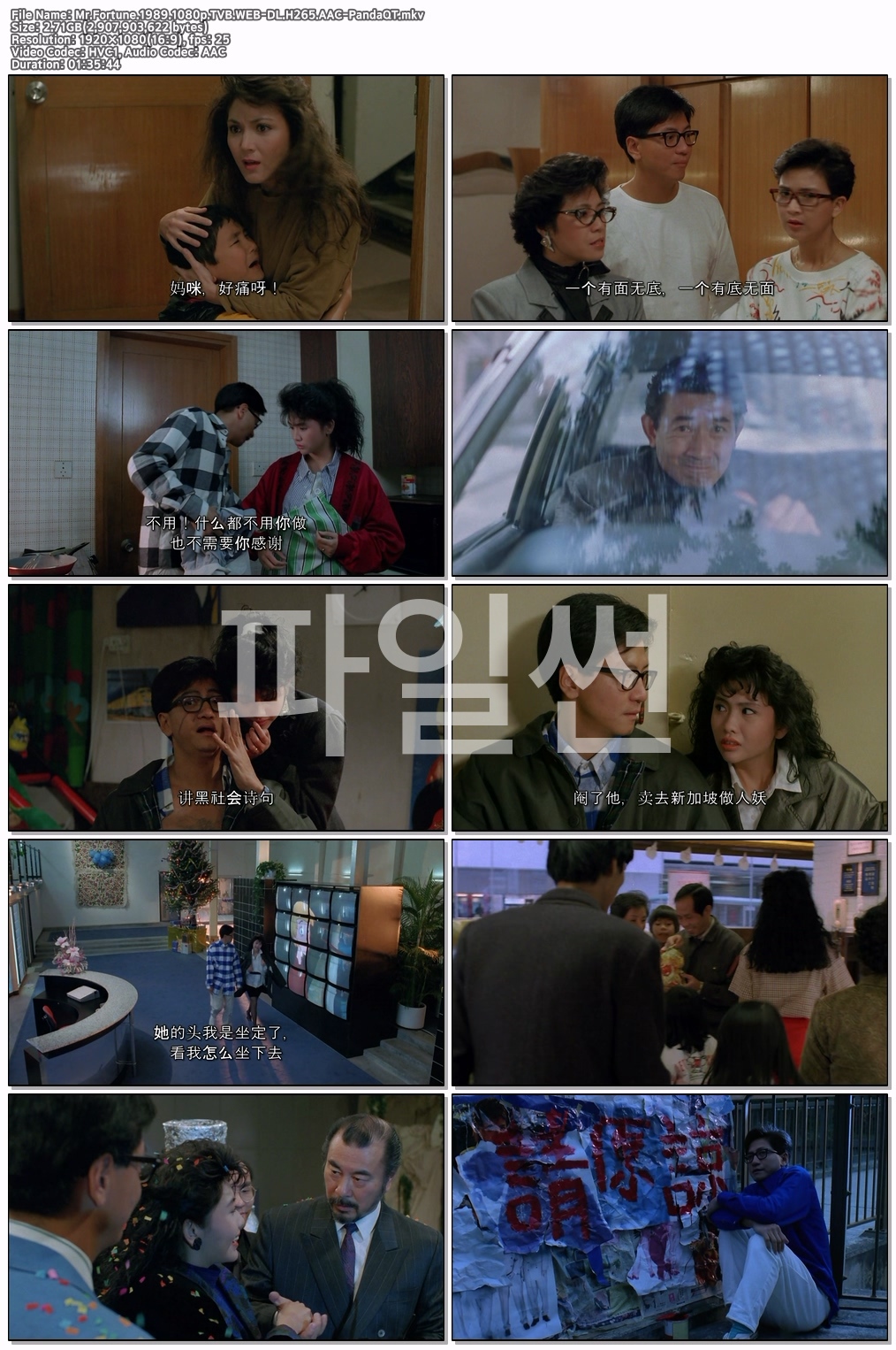 (중자막 내장) Mr.Fortune.1989.1080p.TVB.WEB-DL.H265.AAC