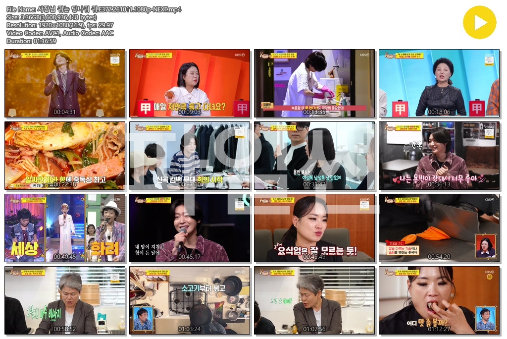 사장님 귀는 당나귀 귀.E377.261011.1080p-NEXT