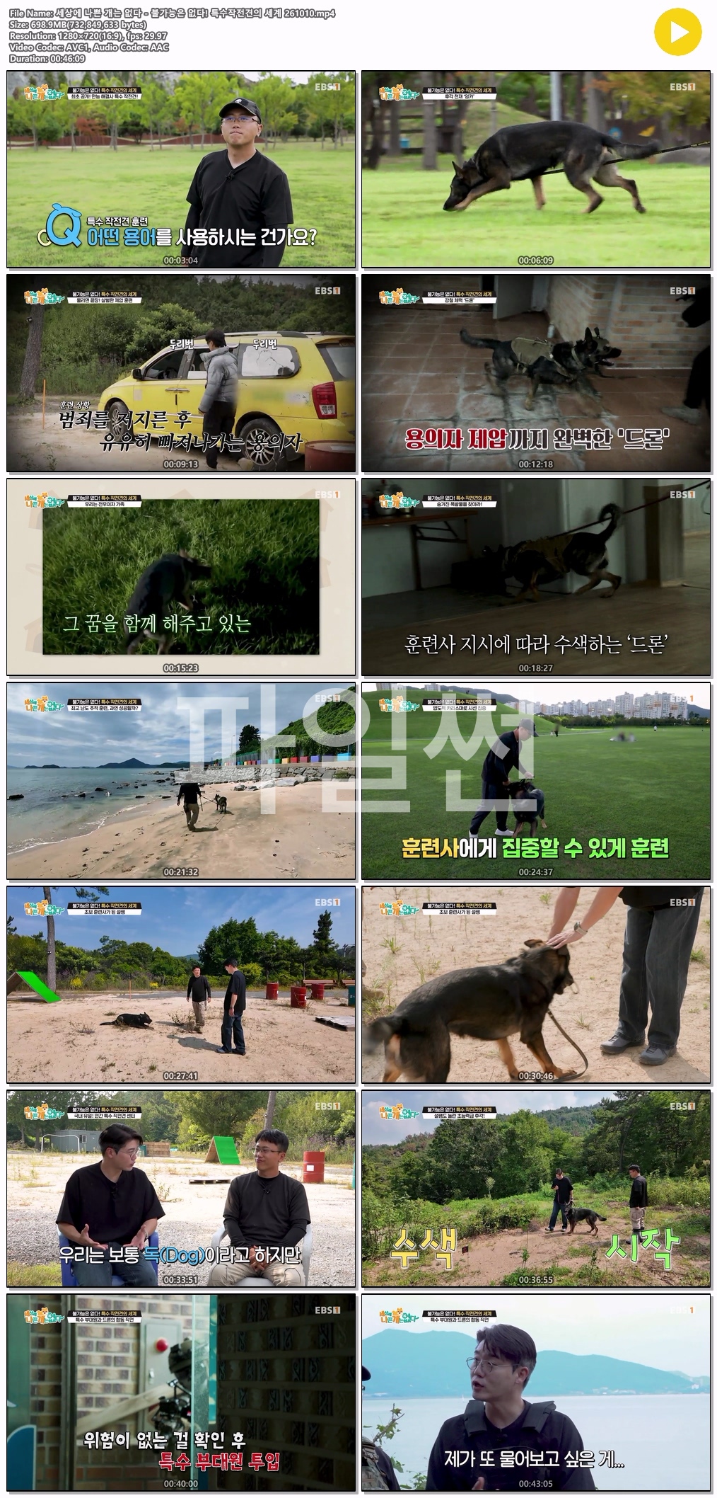 세상에 나쁜 개는 없다 - 불가능은 없다! 특수..