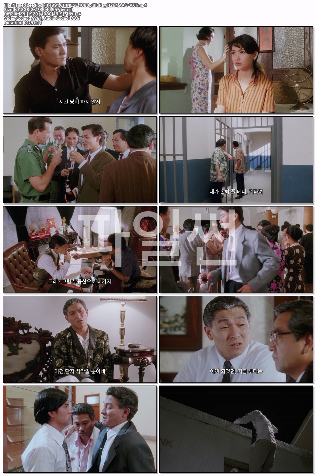 Lee.Rock.II.1991.CHINESE.1080p.BluRay.H264.AAC