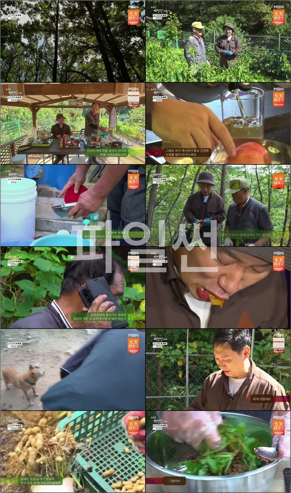 나는 자연인이다.E730.261012.720p-NEXT