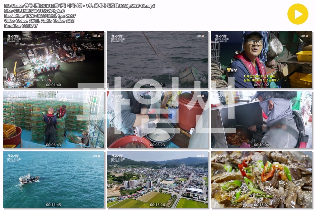 한국기행.261012.발바닥 미식기행 - 1부. 꽃게가 뭐길래.1080p.WEB-DL