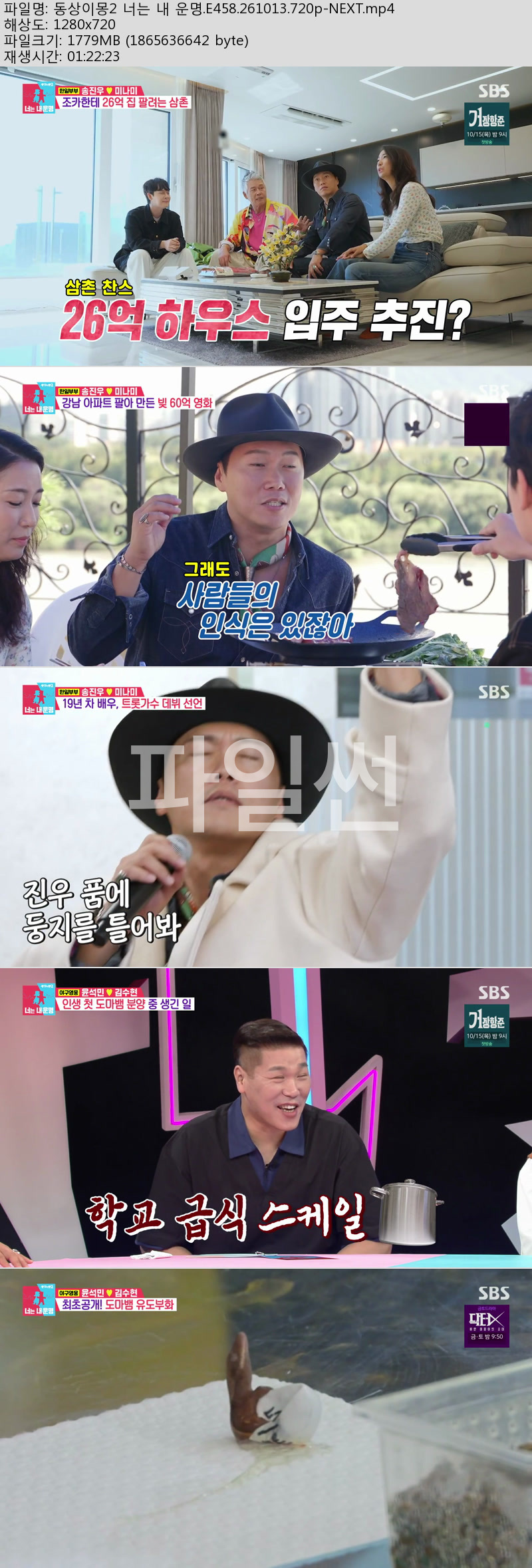 동상이몽 시즌2 너는 내운명.E458.261013.720p-NEXT