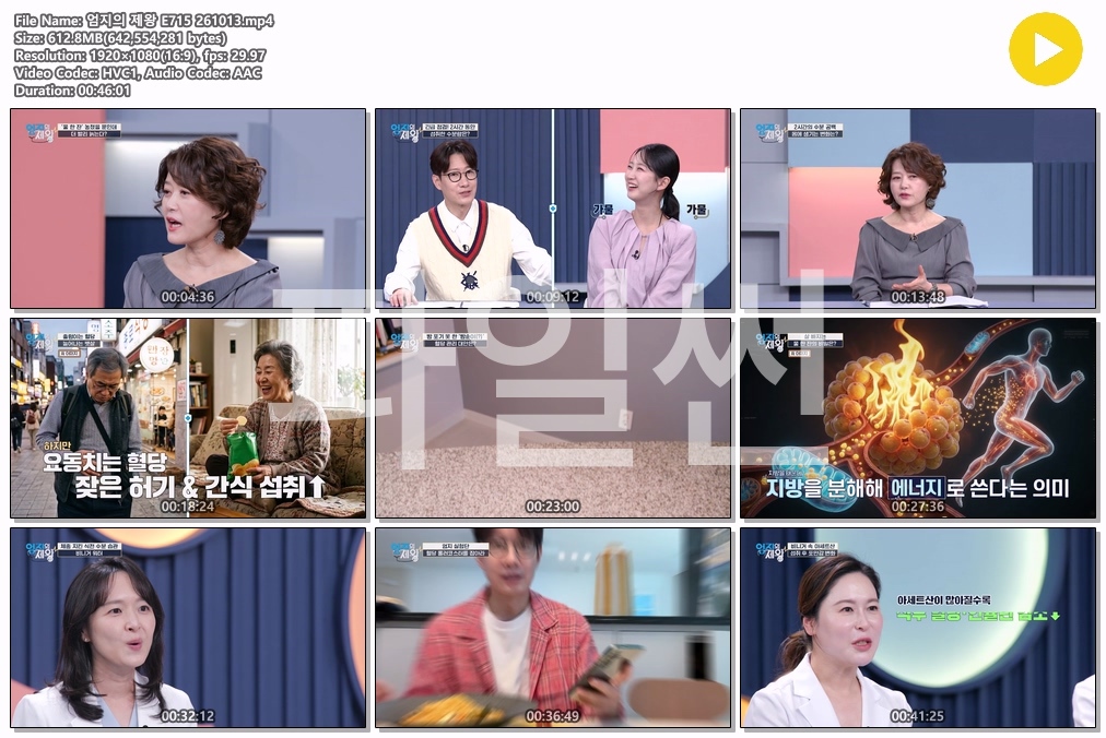 엄지의 제왕 E715 261013