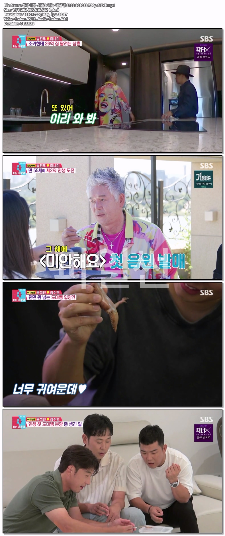 동상이몽 시즌2 너는 내운명.E458.261013.720p-NEXT
