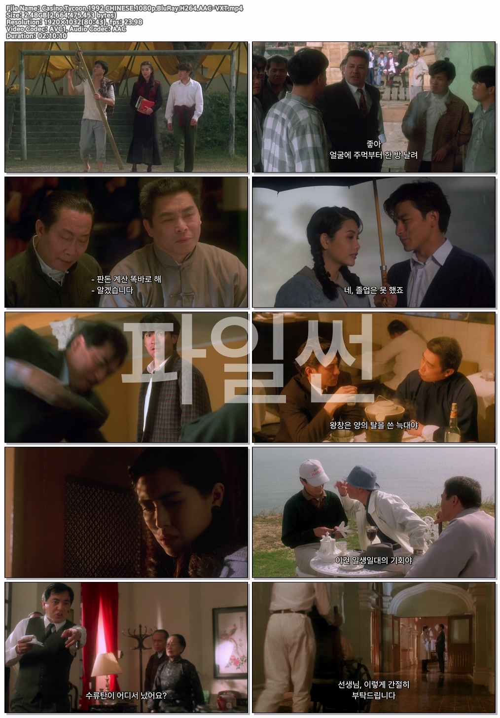Casino.Tycoon.1992.CHINESE..