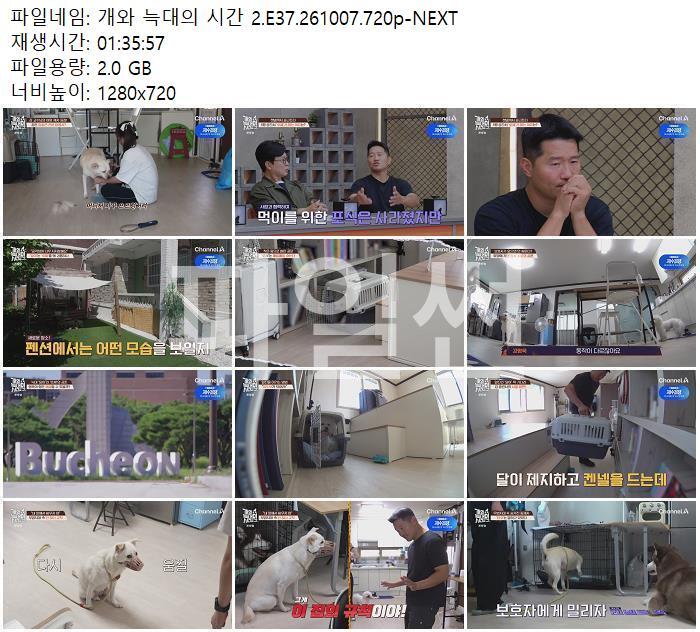 개와 늑대의 시간 2.E37.261007.720p-NEXT