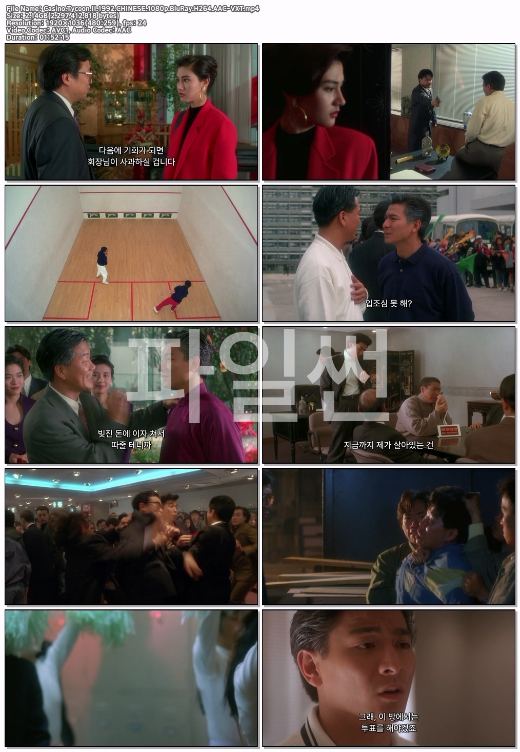 Casino.Tycoon.II.1992.CHINESE.1080p.BluRay.H264.AAC-VXT
