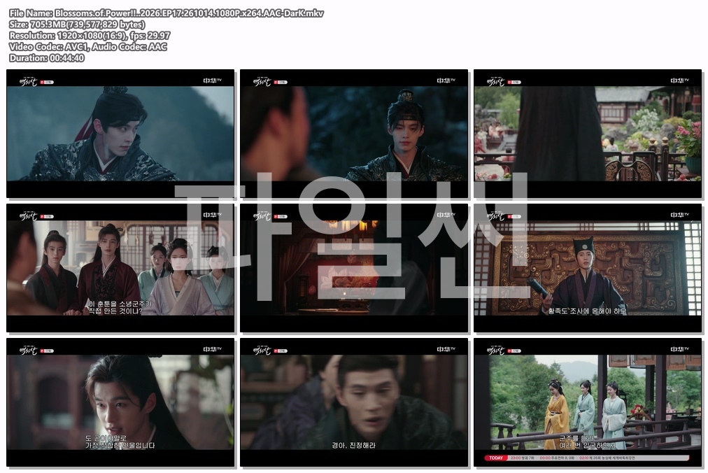 Blossoms.of.Power!!..2026.EP17.261014.1080P.x264.AAC-DarK