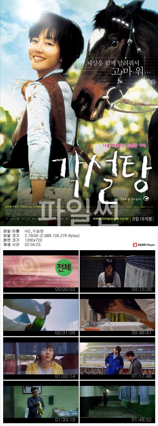 [각설탕] 임수정 주연 세상을 함께 달려줘서 고마워