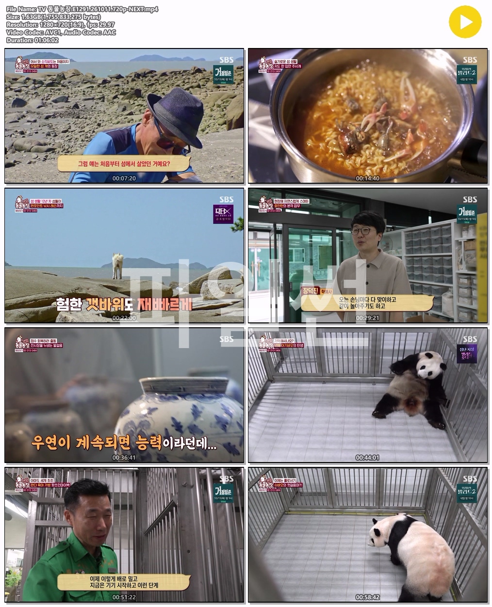 TV 동물농장.E1291.261011.720p-NEXT
