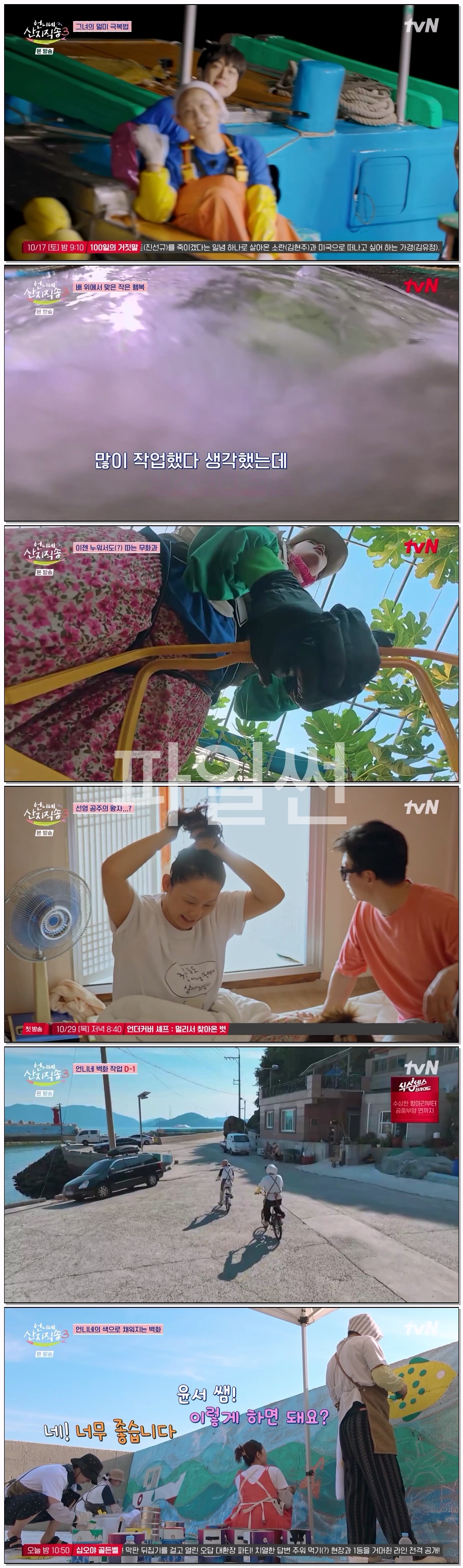 언니네 산지직송3.E11.261015.720p-NEXT