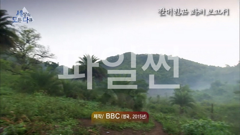 세상의 모든 다큐 2015 절대 빈곤 퇴치 보고서 Don't panic How to end poverty in 15 years