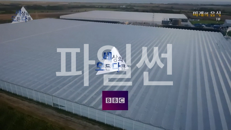 세상의 모든 다큐 2015 미래의 음식 Tomorrow's Food 3부작 몰아보기