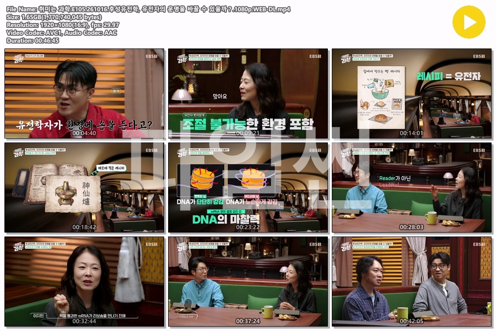취미는 과학.E105.261016.후성유전학, 유전자의 운명을 바꿀 수 있을까？.1080p.WEB-DL