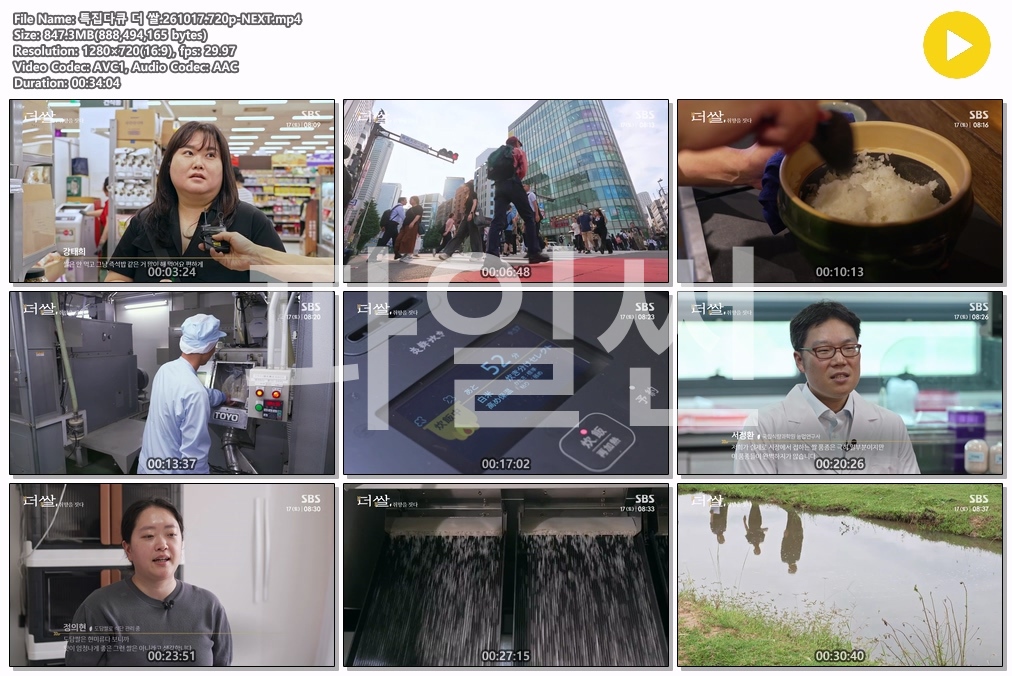 특집다큐 더 쌀.261017.720p-NEXT