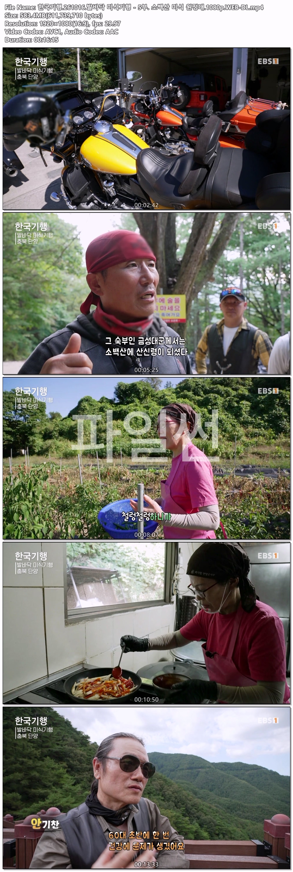 한국기행.261016.발바닥 미식기행 - 5부. 소백산 미식 원정대.1080p.WEB-DL