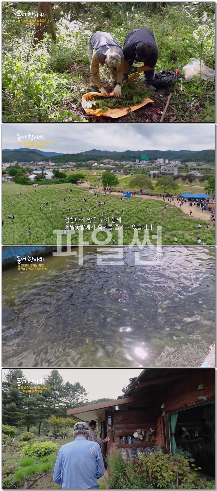 동네 한 바퀴.E390.261017.1080p.WEB-DL.H264.AAC