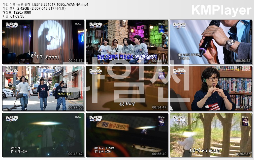놀면 뭐하니.E348.261017.1080p.WANNA