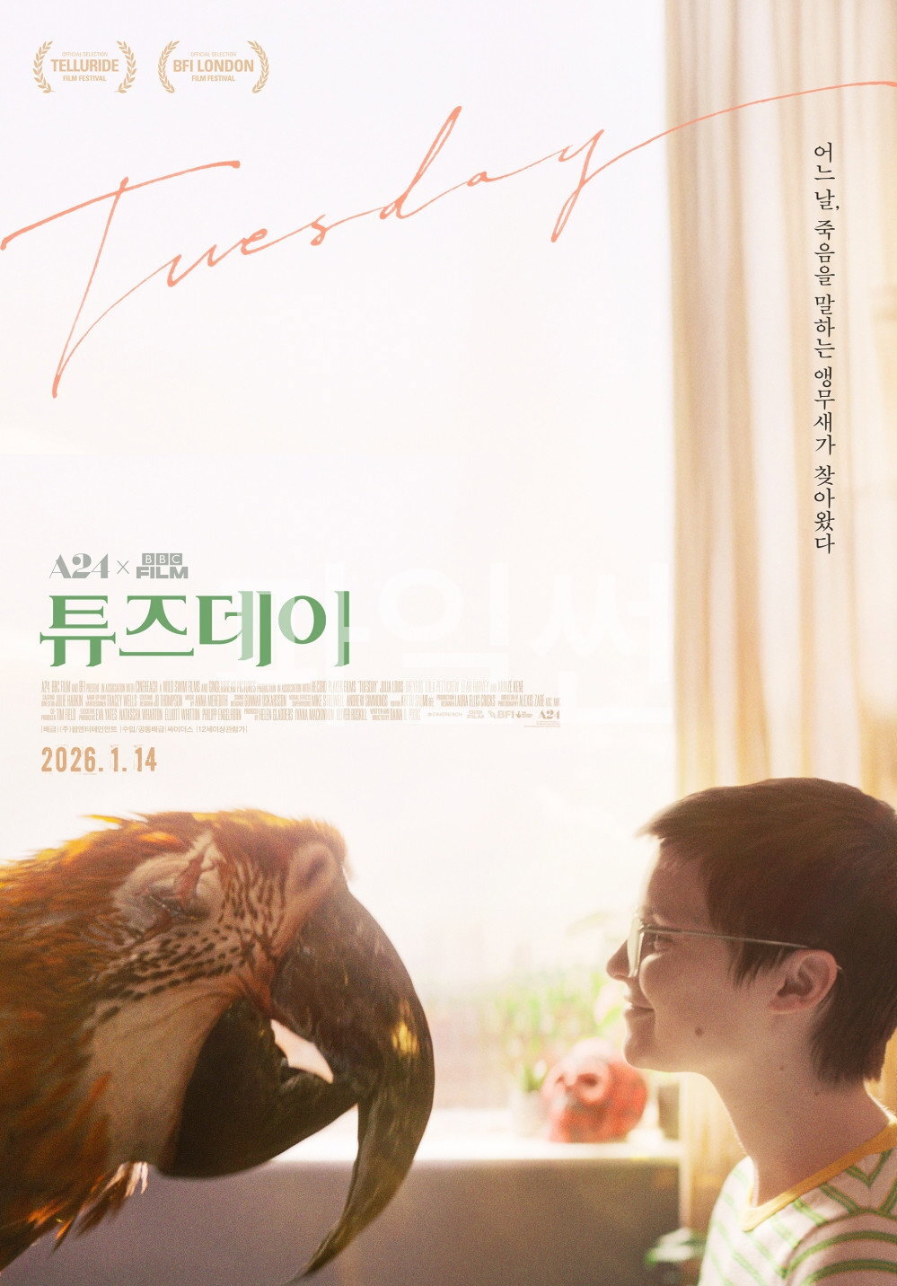 어느 날, 죽음을 말하는 앵무새가 찾아왔다 튜즈데이