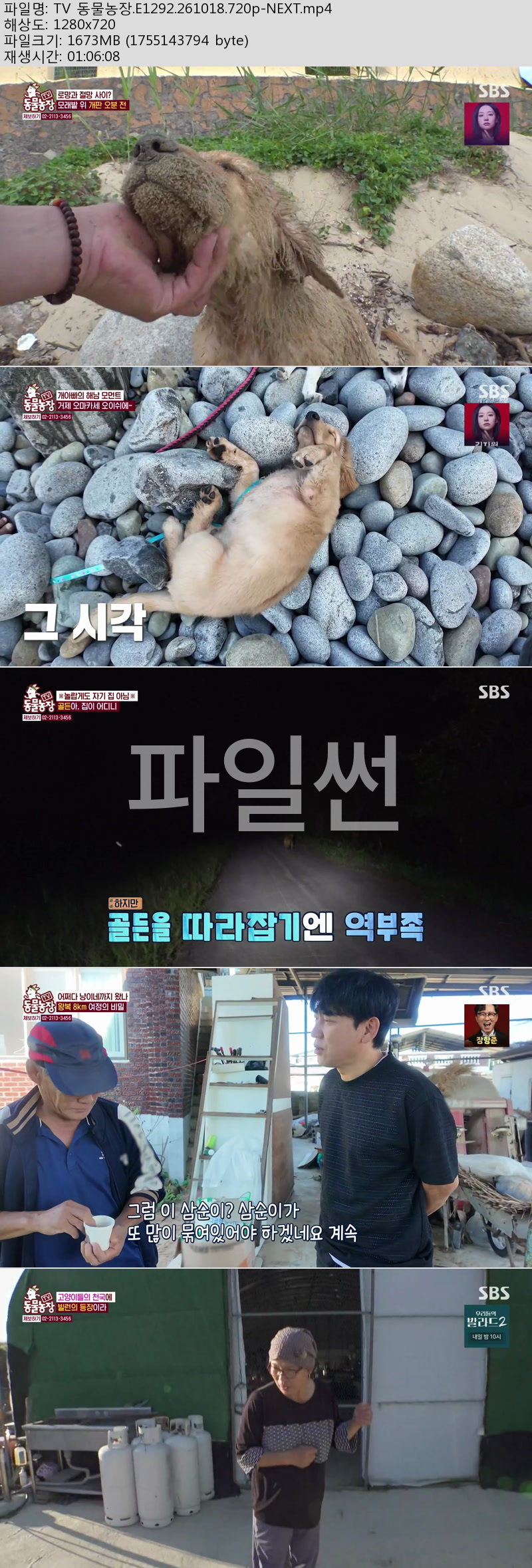 TV 동물농장.E1292.261018.720p-NEXT
