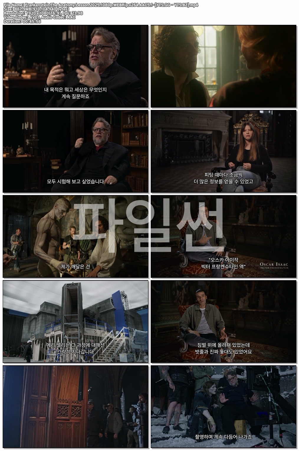 Frankenstein The Anatomy Lesson (2025) [1080p] [WEBRip] [5.1] [YTS.GG - YTS.BZ]