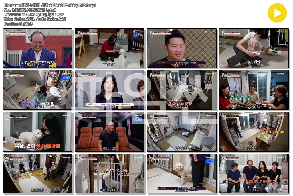 개와 늑대의 시간 2.E39.261021.720p-NEXT