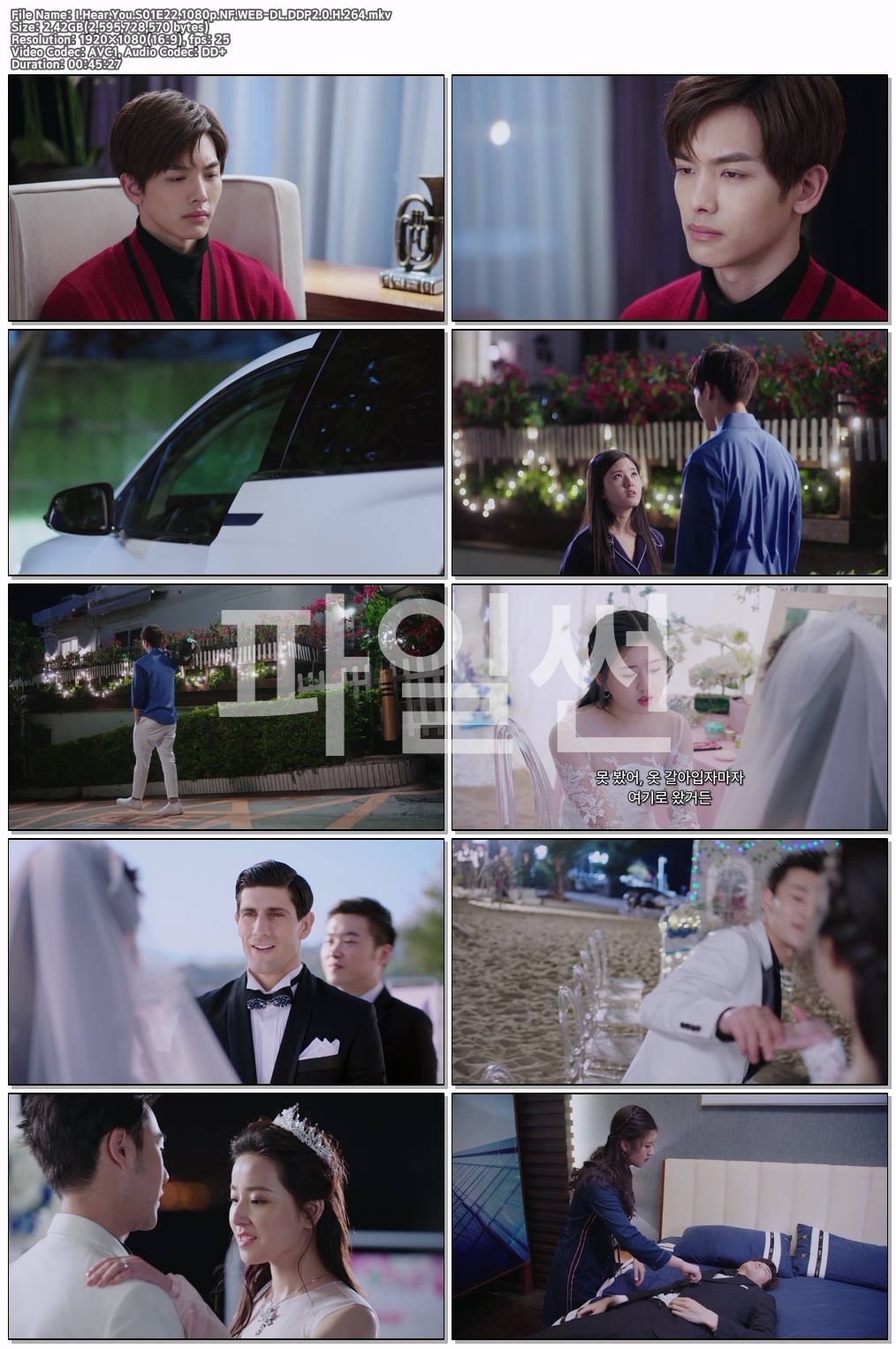 최동청적사.S01E22.1080p.NF.WEB-DL.DDP2.0.H.264