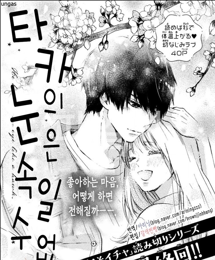 타카의 눈은 속일 수 없어 [단권] [완결]