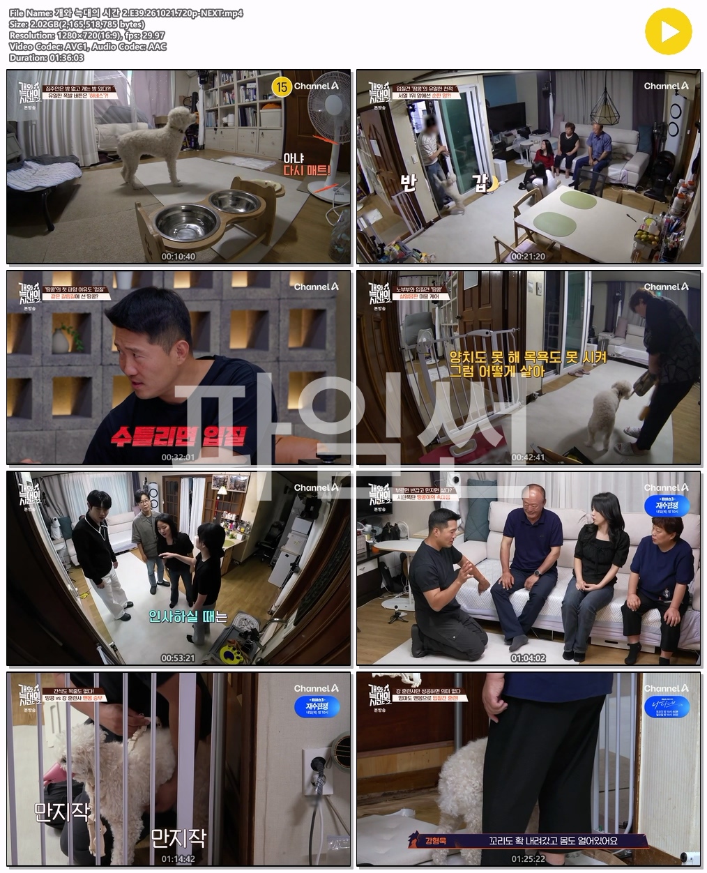 개와 늑대의 시간 2.E39.261021.720p-NEXT
