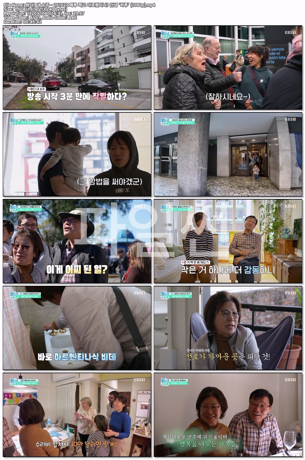 왔다! 내 손주 - 261022 페루 찍고 아르..