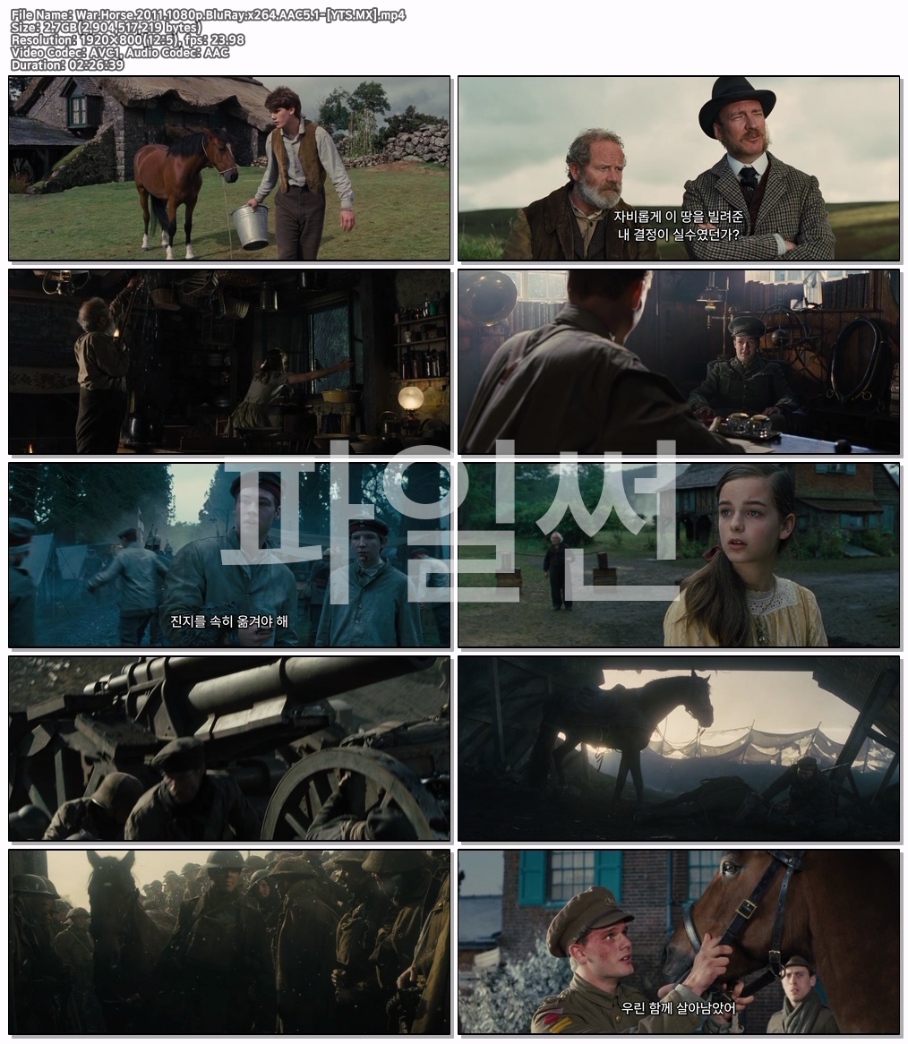 War Horse (2011) [1080p] [BluRay] [5.1] [YTS.MX]