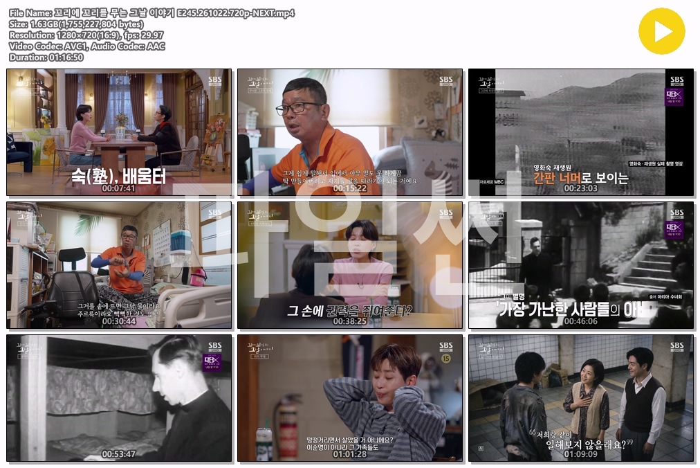 꼬리에 꼬리를 무는 그날 이야기 E245.261022.720p-NEXT