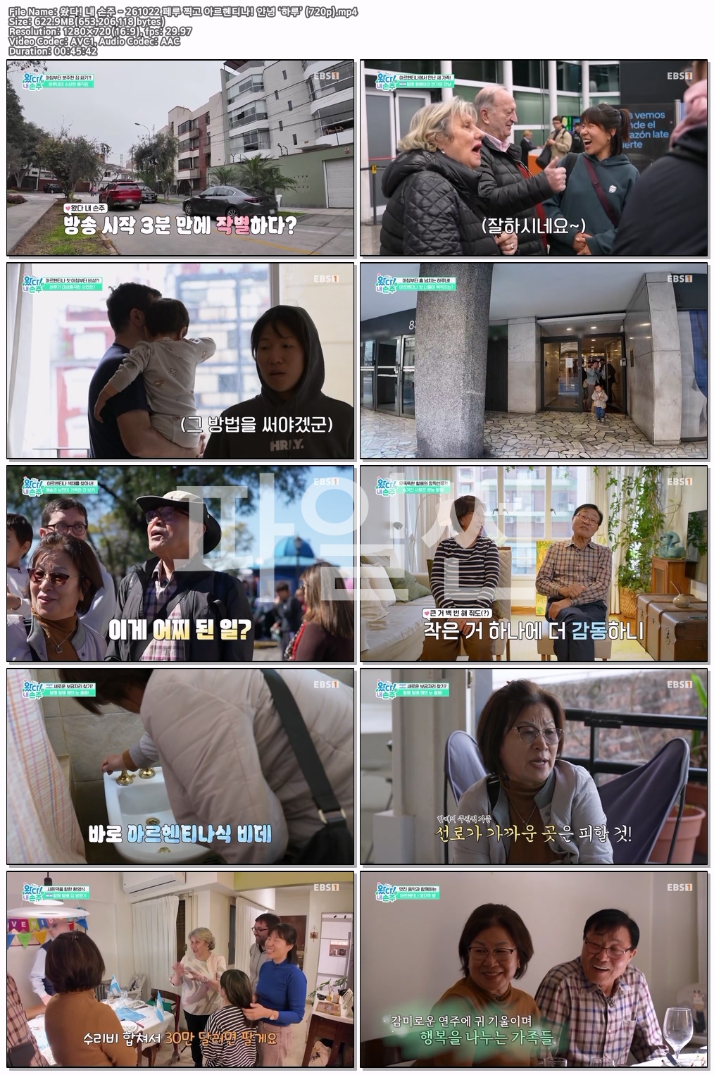 왔다! 내 손주 - 261022 페루 찍고 아르헨티나! 안녕 ‘하루’ (720p)