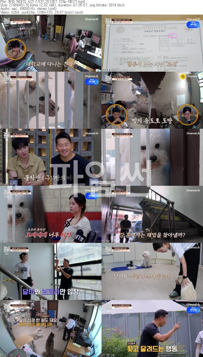 개와 늑대의 시간 2.E37.261007.720p-NEXT