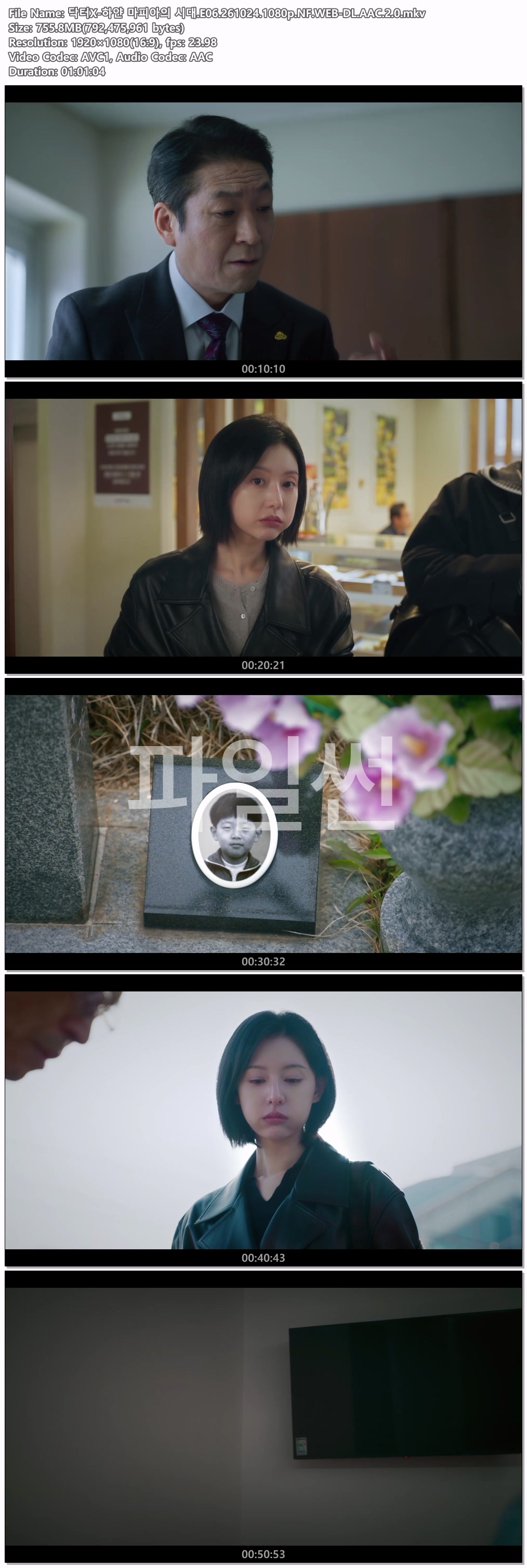 닥터X-하얀 마피아의 시대.E06.261024.1080p.NF.WEB-DL.AAC.2.0