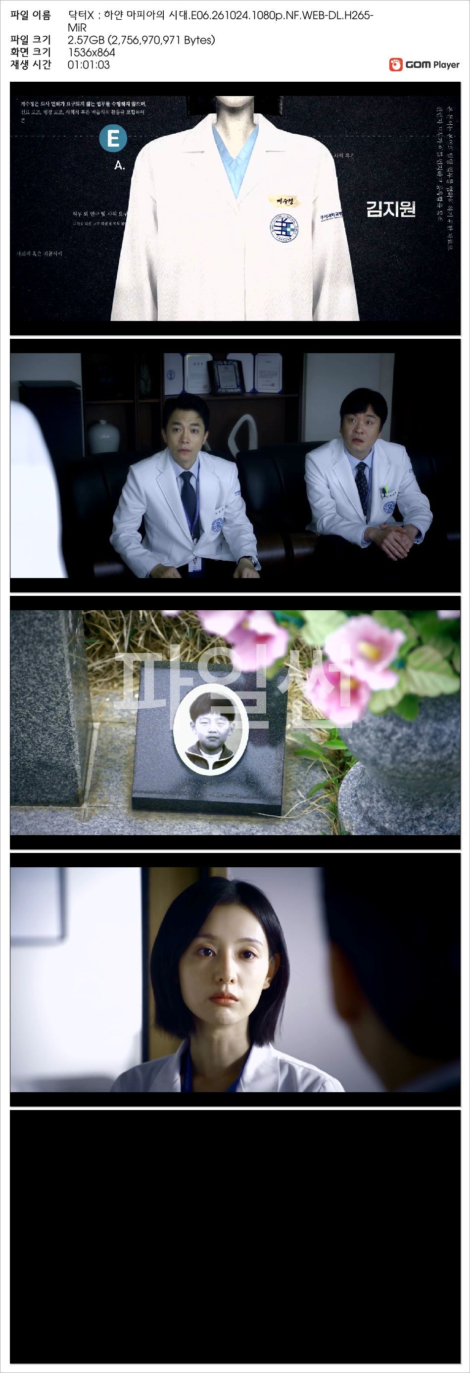 닥터X：하얀 마피아의 시대.E06.261024.1080p.NF.WEB-DL.H265-MiR