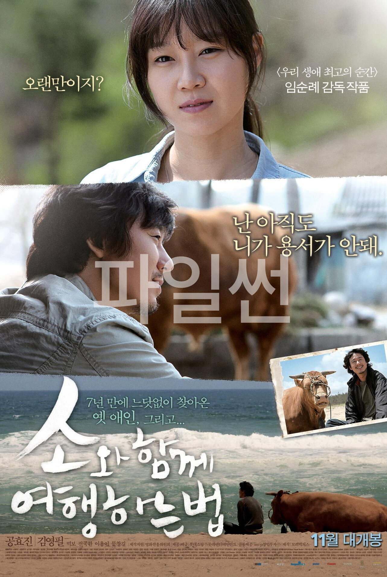 소와 함께 여행하는 법