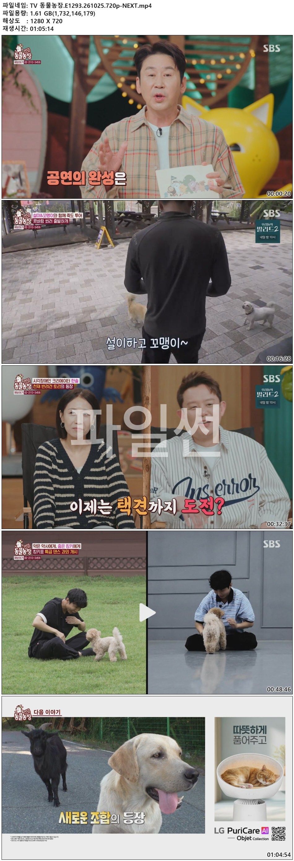 TV 동물농장.E1293.261025.720p-NEXT