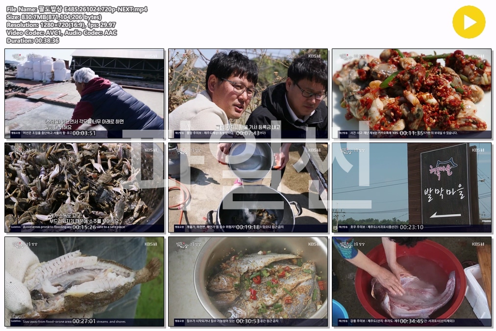 팔도밥상 E485.261024.720p-NEXT