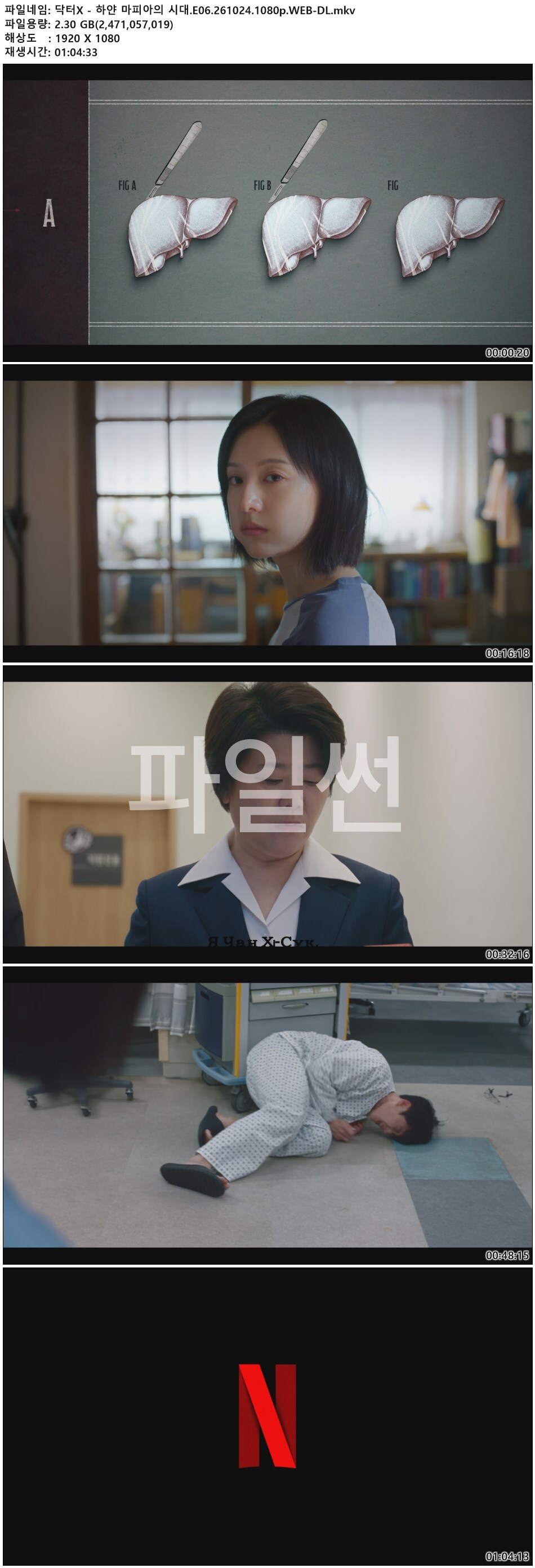 닥터X - 하얀 마피아의 시대.E06.261024.1080p.WEB-DL
